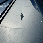 Screenshot 2025-10-30 at 17-15-28 (1) Instagram