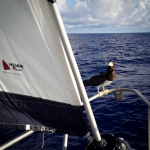 Screenshot 2025-10-30 at 17-15-46 (1) Instagram